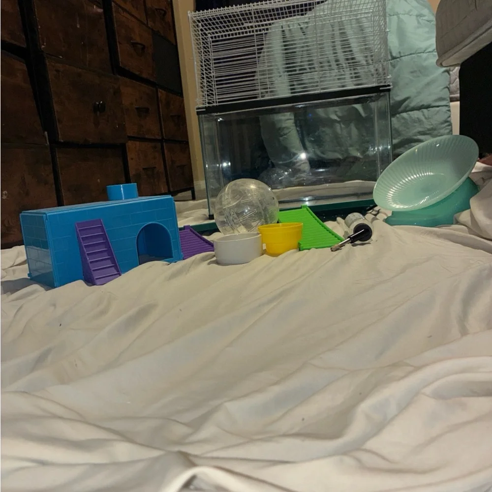 Glass and White Wire Small Pet Habitat